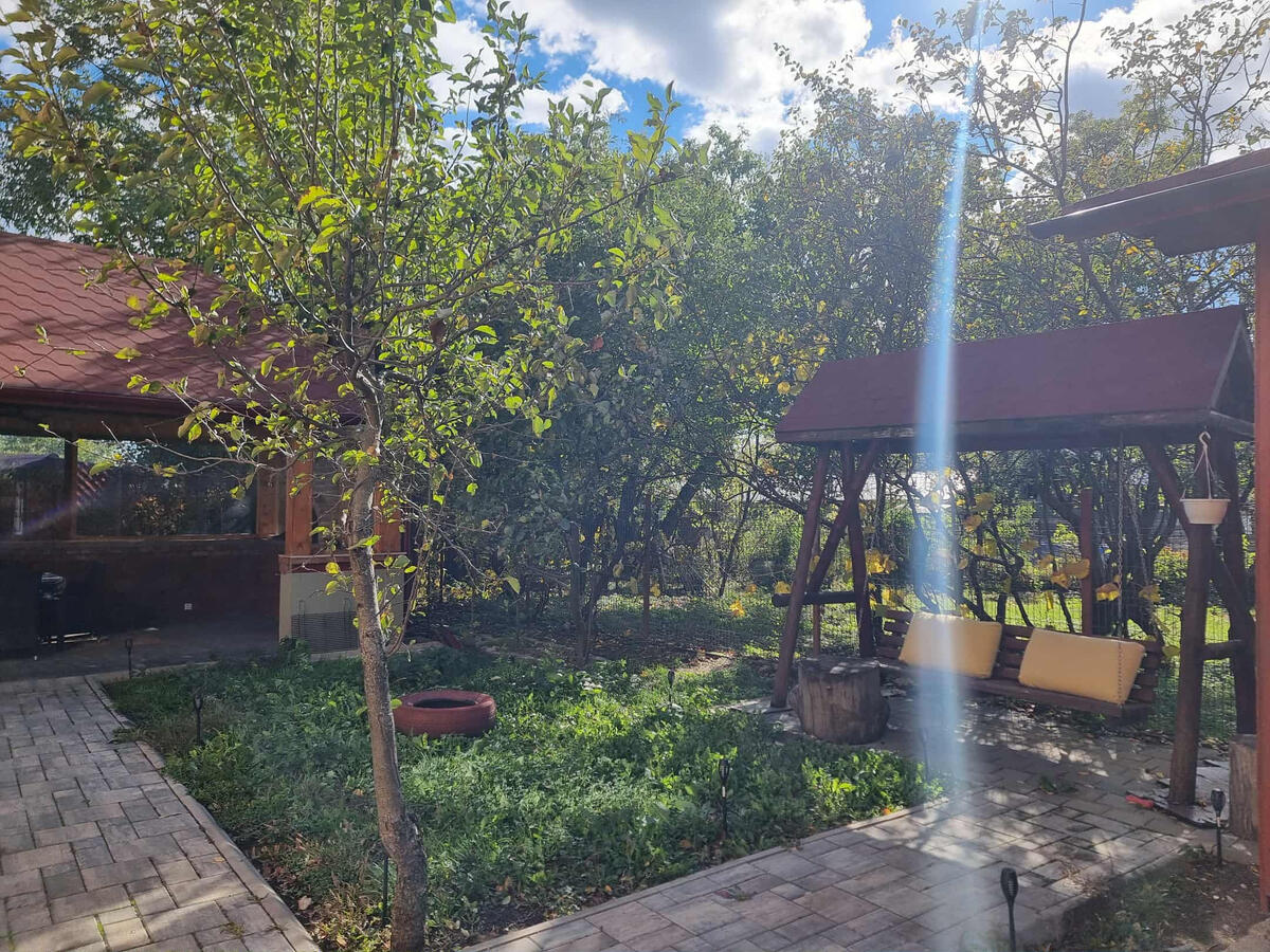 Un dans lent cu liniștea grădinii