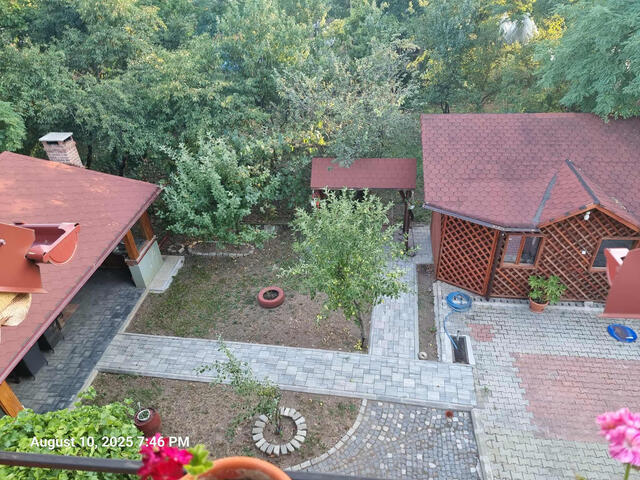 Fereastra către verde